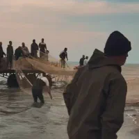 استخدام همکار