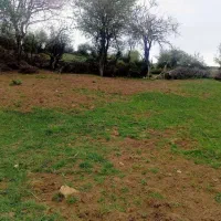 2هزار-متر-زمین-رویایی-باچشمه-اختصاصی-زیرقیمت-نور