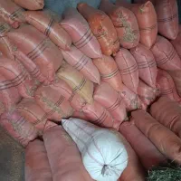 کاه گندم|لوازم جانبی حیوانات|سیوان, |دیوار