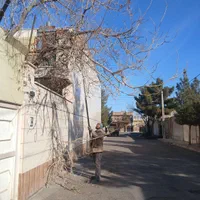 قطع وهرس درخت کاشت چمن گل|خدمات باغبانی و درختکاری|تربت جام, فاز ۲ فرهنگیان|دیوار