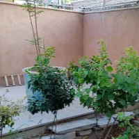 اجاره ویلایی 300 متر  در بست خ اشرفی   خورسندی|اجارهٔ خانه و ویلا|اصفهان, مهدیه|دیوار