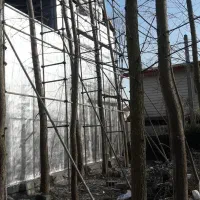 نصب فروش ایزوگام|خدمات پیشه و مهارت|کلاچای, |دیوار