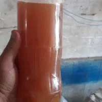 محلول حلشونده