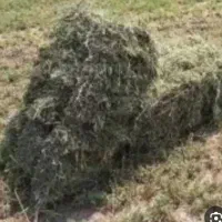 پرس بزرگ ۴۰۰