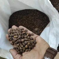 برشته کاری ورست قهوه .به صورت اجرتی .