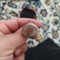 انگشتر شجر سرخ