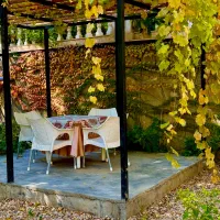 ویلا باغ لوکس و مدرن در شهمیرزاد|اجارهٔ کوتاه‌مدت ویلا و باغ|سمنان, |دیوار