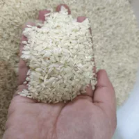 برنج چمپا محلی اصل