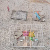 قفس|لوازم جانبی حیوانات|قوچان, |دیوار