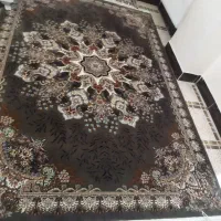 فرش شش متری|فرش|تهران, مطهری|دیوار