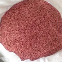 بذر گندم|خدمات باغبانی و درختکاری|محمدبار, |دیوار