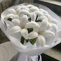 پیپ پاکن و بافتنی
