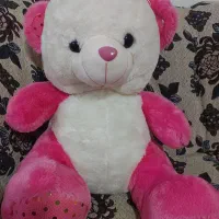 اسباب بازی|اسباب‌بازی بچه|شیراز, حافظیه|دیوار