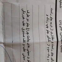 فروش|خودرو سواری و وانت|تایباد, |دیوار