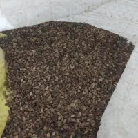 ۲۴ کیلو کونج