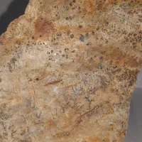 سنگ شجر فروشی زیر قیمت