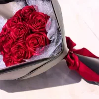 گل رز|گل و گیاه طبیعی|قشم, |دیوار