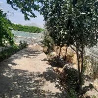 زمین کشاورزی و باغ ویلا