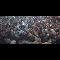 ۱۷ قطعه جهادی معاوضه با گلپایگان