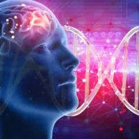 فایل فرکانسیک آرامش فوری