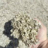 فروش تفاله و یونجه و کاه نرم گندم|عمدهفروشی|گنبد کاووس, |دیوار