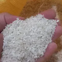 برنج ایرانی سرلاشه