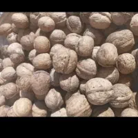 گردو پوست کاغذی