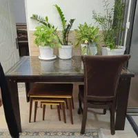 میزناهارخوری6نفره