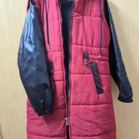 پالتوزنانه