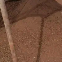 کودحیوانی گاوی وگوسفندی سوخته سوخته ه|خدمات باغبانی و درختکاری|ارومیه, |دیوار