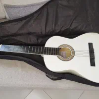 گیتار فندر کلاسیک|گیتار، بیس، امپلیفایر|فشاپویه, |دیوار