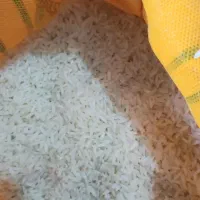 برنج‌ایرانی،کشت‌دوم،کشت‌اول،طارم هاشمی‌،فریدونکنار|خوردنی و آشامیدنی|یزد, |دیوار