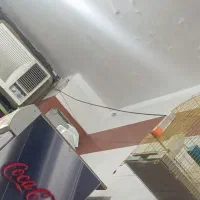 فروش عروس هلندی