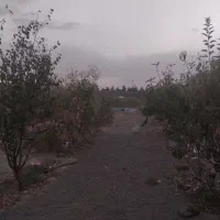 فروش-زمین-باغی