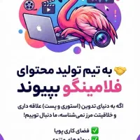 استخدام تدوینگر حرفه ای
