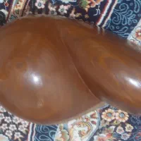 تار ساخت استاد رضا پاشاپوری