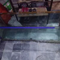 اکواریوم ۱۵۰ سانت در ۵۰ سانت