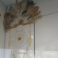 انواع دریم کچر و اویز