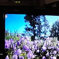 تلویزیون ۲عدد|تلویزیون و پروژکتور|بابل, |دیوار