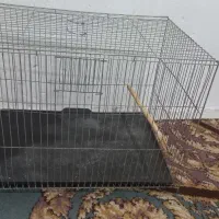 قفس