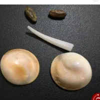 دعا|بدلیجات|سبزوار, قاضی زاد|دیوار