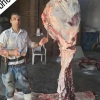 قصاب سیار کشتار دام گوساله وگوسفند درمحل شما|خدمات پذیرایی، مراسم|هشتگرد, |دیوار