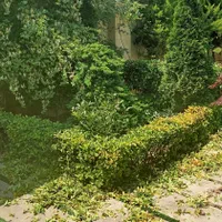 باغبانی|خدمات باغبانی و درختکاری|کرمانشاه, |دیوار