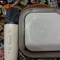 اسپیکر ومیک روفون