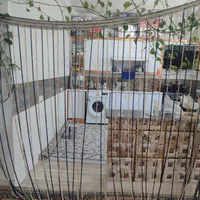 آویز رنگ کرم با سورمه ای