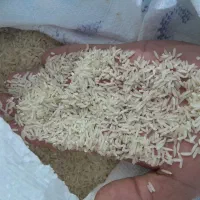 برنج طارم و زی غمی