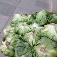 ارزانسرای میوه و تره بار بختیاری|خوردنی و آشامیدنی|فولادشهر, B7|دیوار