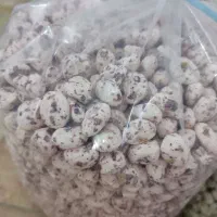 ب تعدادی نیروی کار نیازمندیم|استخدام صنعتی، فنی، مهندسی|صباشهر, |دیوار