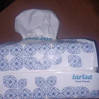 دستمال حوله کاغذی لاریسا ۲۵۰ برگ دو،لایه