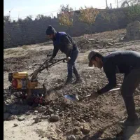 هرس کاری وخدمات باغبانی